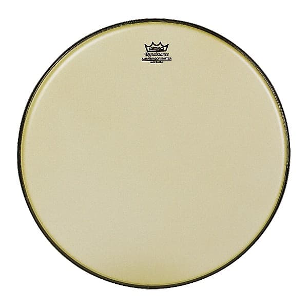 Remo Renaissance Ambassador Tom Batter 14 in.